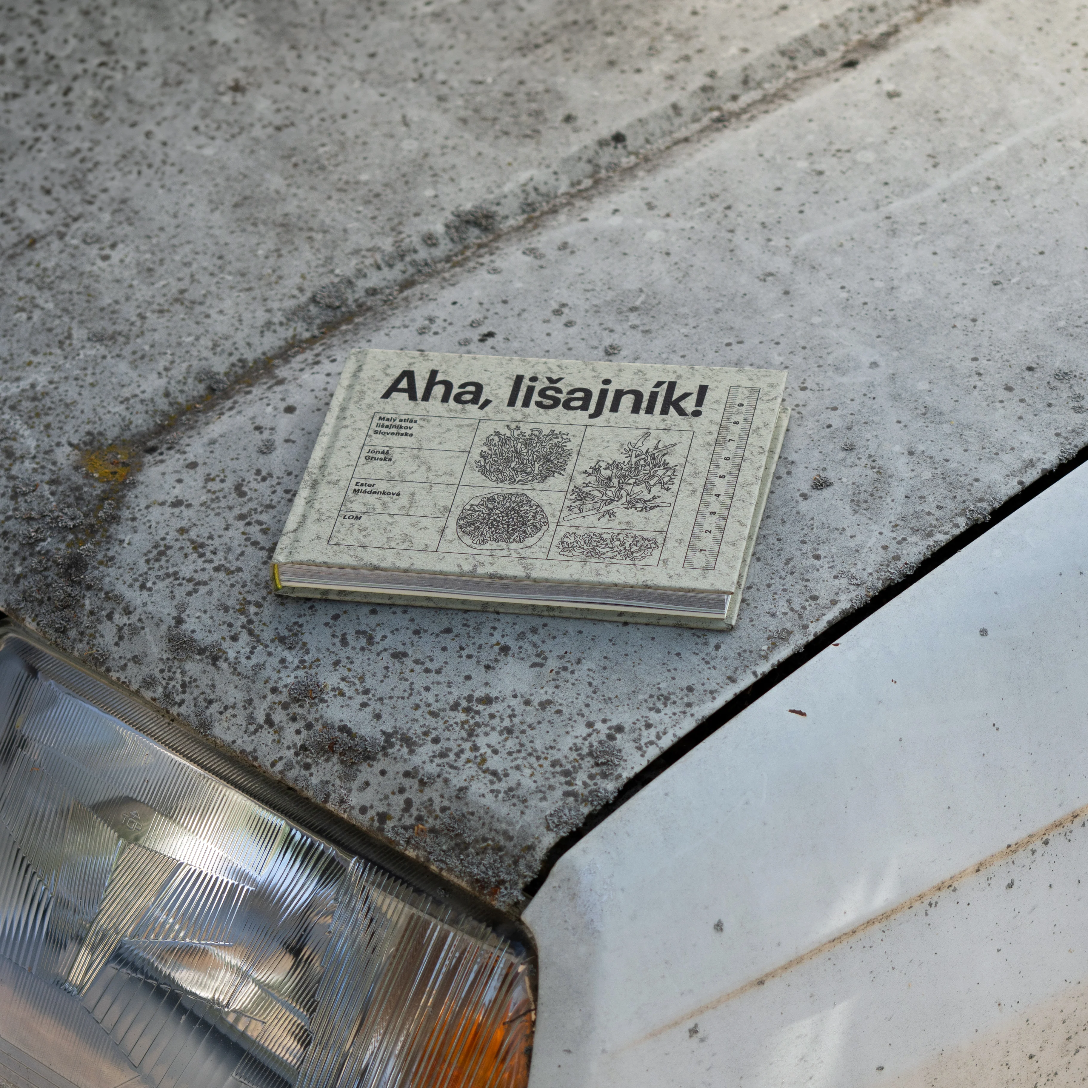 Aha, lišajník! - Image 3